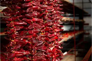 adobestock 407786081 (1) 1